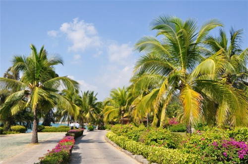 鱼禾岸日式料理