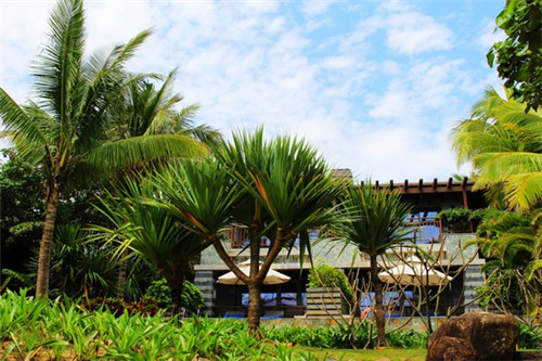 鸭血粉丝汤加盟店利润到底高不高，顶正鸭血粉丝汤加盟适合新手开店吗