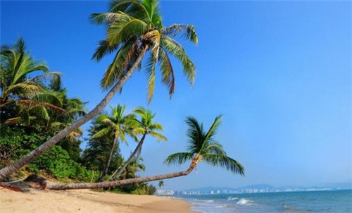 合肥哪家餐饮设计好做些，合肥餐饮排名前十