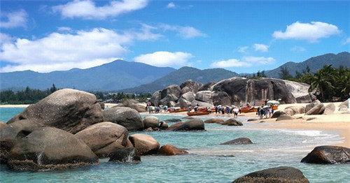 淄博白茶加盟费多少