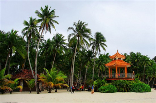 佛祖十大弟子都有神通吗（佛祖的十大弟子）