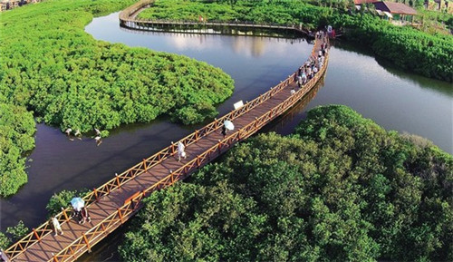 鸡蛋炒小窝窝怎么炒好吃（鸡蛋炒小窝窝怎么炒好吃呢）