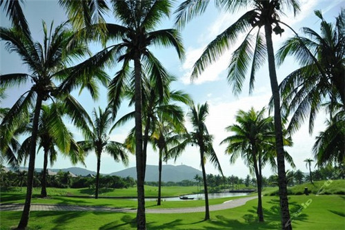 丹霞谷景区美食（丹霞旅游景点）